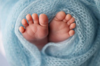 Close-up of tiny, cute, bare toes, heels and feet of a newborn girl, boy. Baby foot on blue soft coverlet, blanket. Detail of a newborn baby legs.Macro horizontal professional studio photo. 