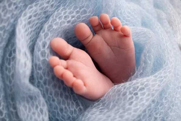 Soft Feet Newborn Blue Woolen Blanket Close Toes Heels Feet — Stock Photo, Image