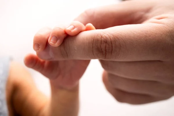 Close Little Hand Child Palm Mother Father Newborn Baby Has — Stok fotoğraf