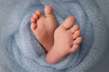 Soft feet of a newborn in a blue woolen blanket. Close-up of toes, heels and feet of a newborn baby.The tiny foot of a newborn. Studio Macro photography. Baby feet covered with isolated background. 