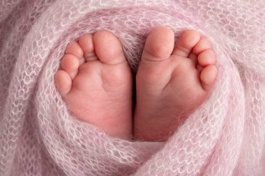 Soft feet of a newborn in a pink woolen blanket. Close-up of toes, heels and feet of a newborn baby.The tiny foot of a newborn. Studio Macro photography. Baby feet covered with isolated background. 