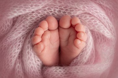 Yeni doğmuş bir bebeğin küçük ayağı. Pembe yün battaniyeli yeni doğmuş bir bebeğin yumuşak ayakları. Yeni doğmuş bir bebeğin ayak parmaklarını, topuklarını ve ayaklarını kapat. Stüdyo Makro fotoğrafçılık. Kadınların mutluluğu. Yüksek kalite fotoğraf