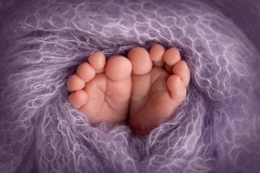 The tiny foot of a newborn baby. Soft feet of a new born in a purple, lilac wool blanket. Close up of toes, heels and feet of a newborn. 