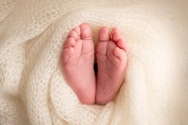 Tiny Foot Newborn Soft Feet Newborn White Woolen Blanket Close —  Fotos de Stock