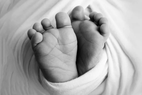 Крихітні Милі Голі Ноги Маленької Новонародженої Дівчинки Або Хлопчика Два — стокове фото