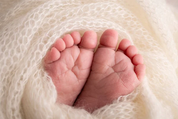 Soft Feet Newborn White Woolen Blanket Close Toes Heels Feet — Stock Photo, Image