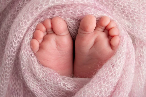 Soft Feet Newborn Pink Woolen Blanket Close Toes Heels Feet — Stock Photo, Image
