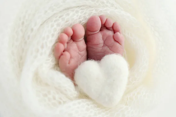 Маленька Нога Новонародженої Дитини Які Ноги Новонародженого Білій Вовняній Ковдрі — стокове фото