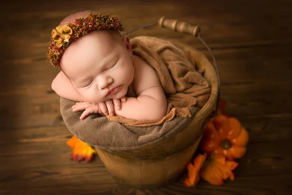 木製のバケツに天然の茶色の木の背景に新生児の女の子を眠っています 彼の頭の上に赤い茶色の花の花輪を持つ新生児 赤いカボチャと新生児の美しい肖像画 — ストック写真