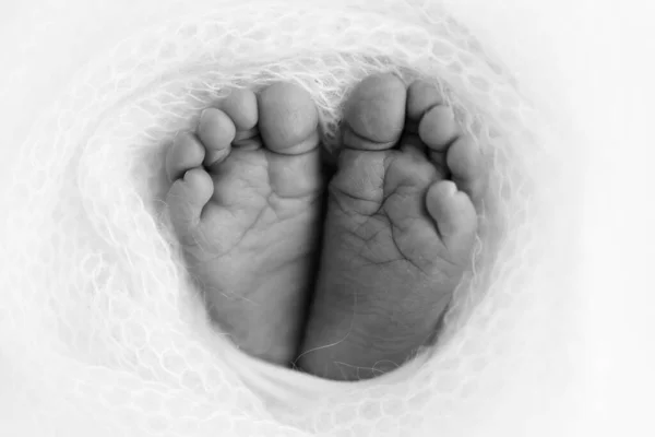 Soft Feet Newborn Woolen Blanket Close Toes Heels Feet Baby —  Fotos de Stock