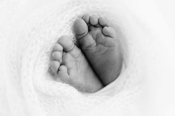 Soft Feet Newborn Woolen Blanket Close Toes Heels Feet Baby — Stock fotografie