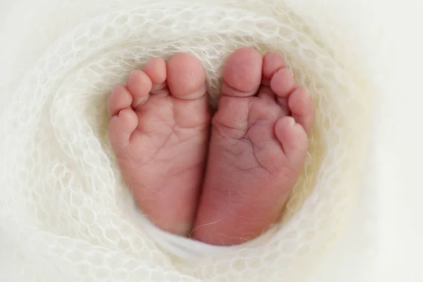 Tiny Foot Newborn Soft Feet Newborn White Woolen Blanket Close — Stock Photo, Image