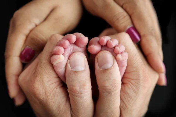 Pieds Nouveau Entre Les Mains Parents Concept Famille Heureuse Maman — Photo