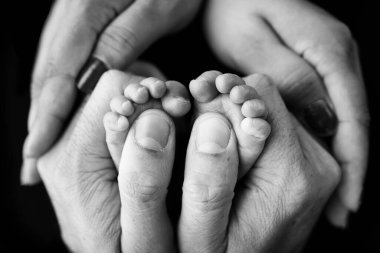 Childrens foot in the hands of mother, father, parents. Feet of a tiny newborn close up. Little baby legs. Mom and her child. Happy family concept. Black and white image of motherhood stock photo