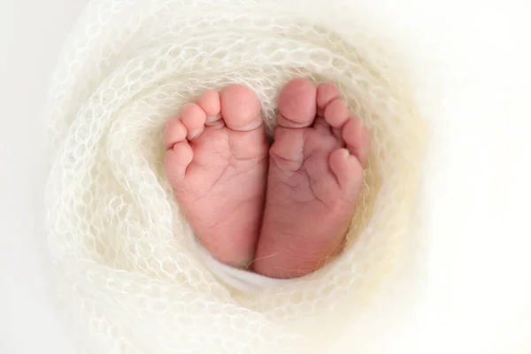 Tiny Foot Newborn Soft Feet Newborn White Woolen Blanket Close —  Fotos de Stock