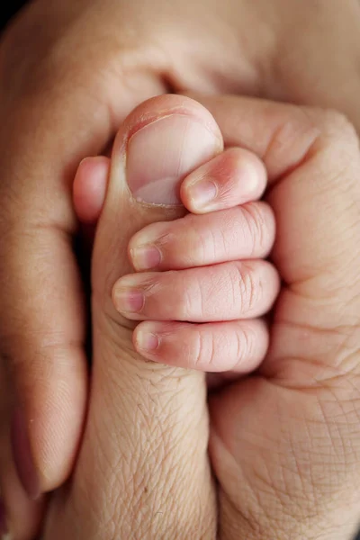 Newborn Baby Has Firm Grip Parents Finger Birth Close Little — ストック写真