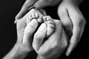 Childrens foot in the hands of mother, father, parents. Feet of a tiny newborn close up. Little baby legs. Mom and her child. Happy family concept. Black and white image of motherhood stock photo