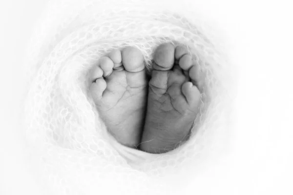 Soft Feet Newborn Woolen Blanket Close Toes Heels Feet Baby — Foto de Stock