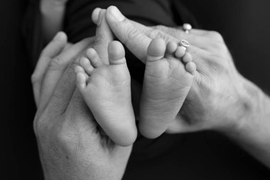 Siyah ve beyaz gölgeli güzel anne elleri, küçük yeni doğmuş bebek ayaklarını sevgi, ilgi, aile güvenliği ve korumayla siyah zemin üzerinde tutun, erken doğum konsepti olan çocuk ya da yoğun bakım