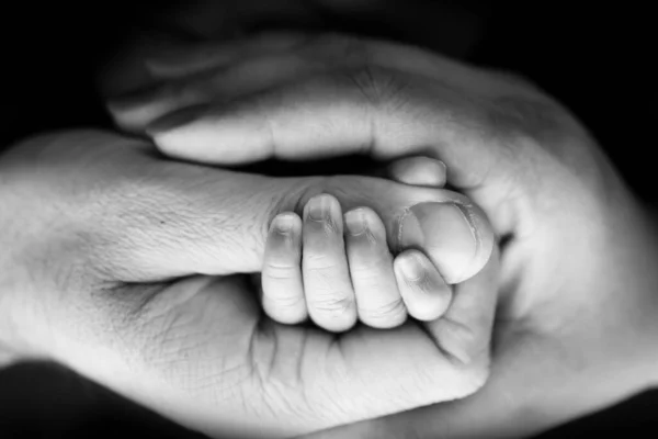 Zbliżenie Małej Dłoni Dziecka Ręki Matki Ojca Noworodek Urodzeniu Mocno — Zdjęcie stockowe