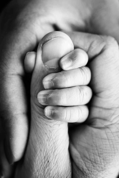 Bir Çocuğun Küçük Eli Anne Babanın Elinin Yakın Çekimi Doğumdan — Stok fotoğraf