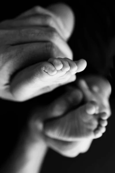 Black and white shade beautiful shape hands of mother, hold tiny newborn baby feet on black background with love, care, family safety and protection, child with premature birth concept or NICU care