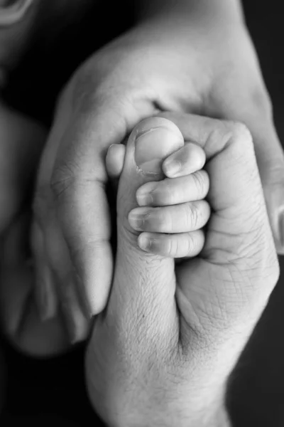 Close Small Hand Child Hand Mother Father Newborn Baby Birth — Stock Photo, Image