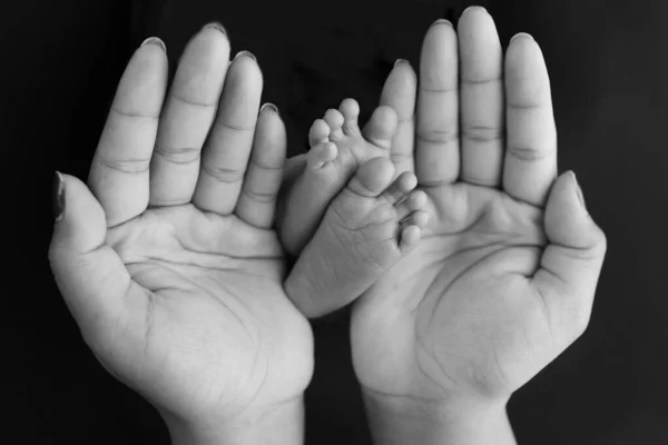 Чорно Білий Відтінок Красиві Руки Матері Тримайте Крихітні Новонароджені Ноги — стокове фото