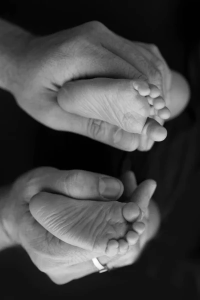 Ασπρόμαυρη Απόχρωση Όμορφη Μορφή Χέρια Της Μητέρας Κρατήστε Μικροσκοπικά Νεογέννητα — Φωτογραφία Αρχείου