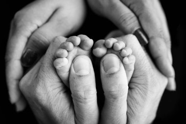 Childrens foot in the hands of mother, father, parents. Feet of a tiny newborn close up. Little baby legs. Mom and her child. Happy family concept. Black and white image of motherhood stock photo