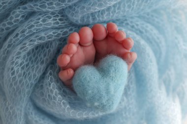 The tiny foot of a newborn baby. Soft feet of a new born in a wool blue blanket. Closeup of toes, heels and feet of a newborn. Knitted blue heart in the legs of baby. Macro studio photography. 