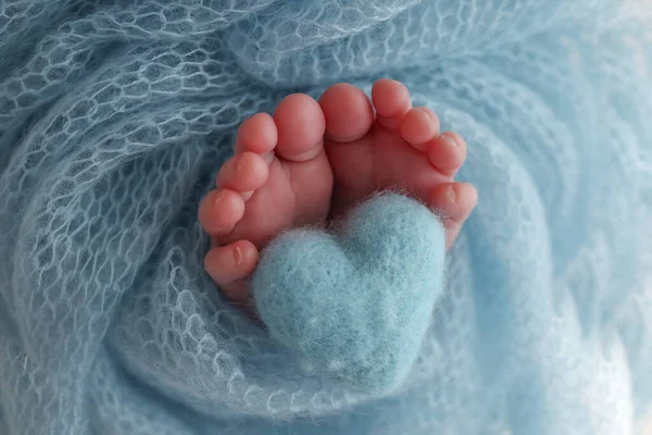 The tiny foot of a newborn baby. Soft feet of a new born in a wool blue blanket. Closeup of toes, heels and feet of a newborn. Knitted blue heart in the legs of baby. Macro studio photography.