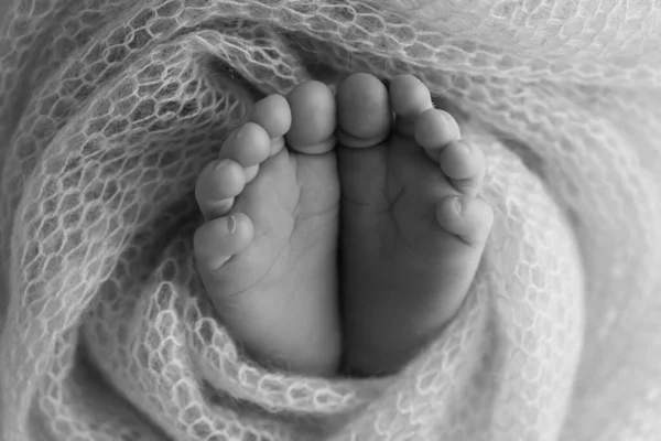 아기의 발이지 담요에서 태어난 부드러운 태어난 새끼의 발가락 발끝을 감싼다 — 스톡 사진