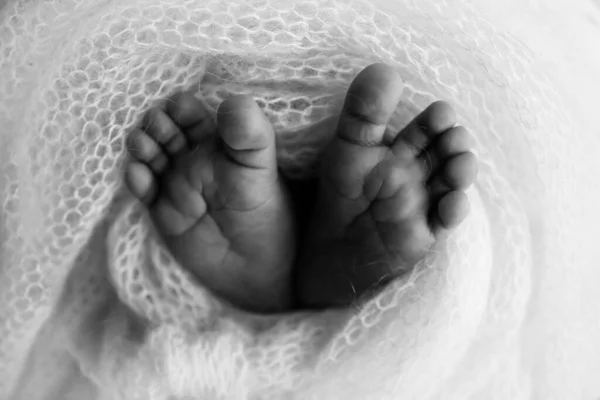 Kleine Voet Van Een Pasgeboren Baby Zachte Voeten Van Een — Stockfoto