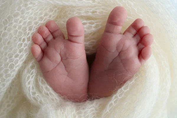 Pequeño Pie Bebé Recién Nacido Pies Suaves Recién Nacido Una —  Fotos de Stock