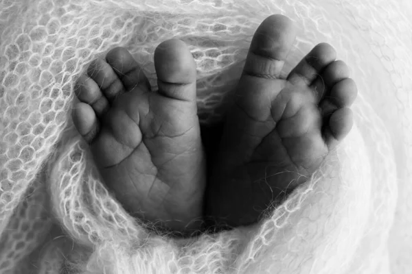 新生婴儿的小脚 在毛毯里出生的新生命的柔软的脚 新生儿的脚趾 脚跟和脚的紧密相连 在婴儿腿上编织的心脏 宏观摄影 黑人和白人 — 图库照片