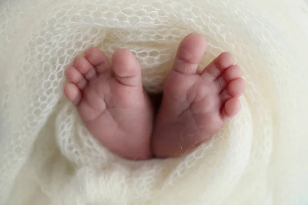 Pequeño Pie Bebé Recién Nacido Pies Suaves Recién Nacido Una —  Fotos de Stock