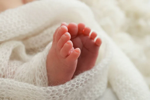 Tiny Foot Newborn Baby Soft Feet New Born White Wool — Stock Photo, Image