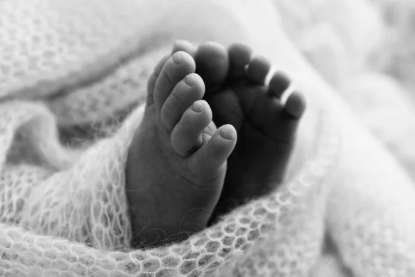 Tiny Foot Newborn Baby Soft Feet New Born Wool Blanket — Stock Photo, Image