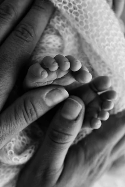 Mother Doing Massage Her Baby Foot Closeup Baby Feet Mother — Stok fotoğraf