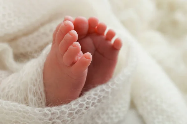 Yeni Doğmuş Bir Bebeğin Küçük Ayağı Beyaz Yün Battaniyenin Içinde — Stok fotoğraf