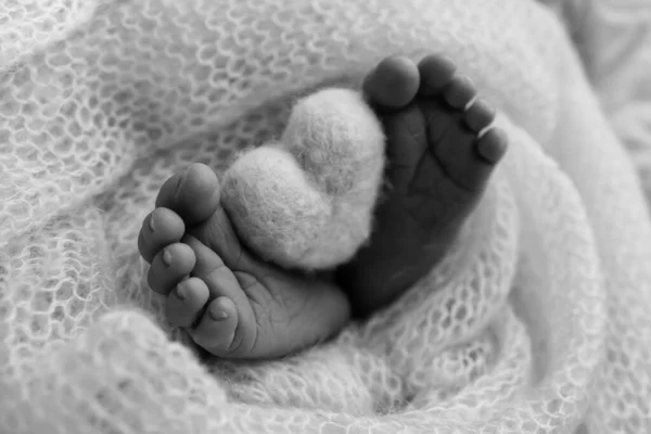 Pequeño Pie Bebé Recién Nacido Los Pies Suaves Recién Nacido —  Fotos de Stock