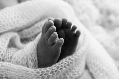 Yeni doğmuş bir bebeğin küçük ayağı. Yün battaniyenin içinde yeni doğmuş bir bebeğin yumuşak ayakları. Ayak parmakları, topuklar ve yeni doğmuş bir bebeğin ayakları. Bebeğin bacaklarında örülmüş kalp. Makro fotoğrafçılık. Siyah ve beyaz