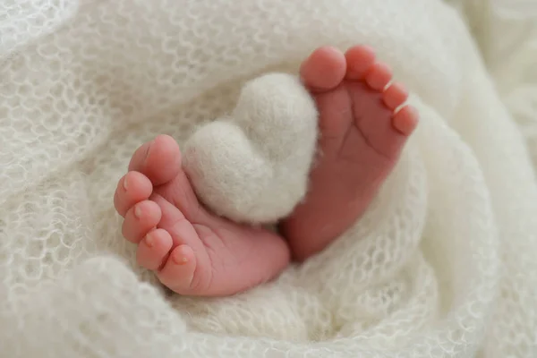 Крошечная Ножка Новорожденного Ребенка Мягкие Ноги Новорожденного Белом Шерстяном Одеяле — стоковое фото