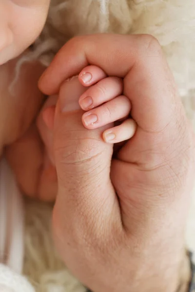 小さな子供の手と母親と父親の手のクローズアップ 出生後の新生児はしっかりと保持し その両親の親指を絞る — ストック写真