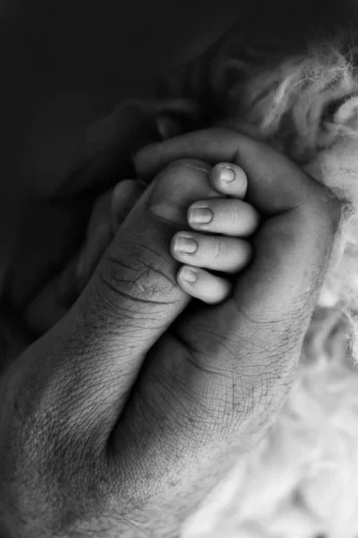 Primer Plano Una Pequeña Mano Niño Mano Madre Padre Bebé —  Fotos de Stock