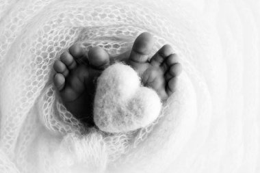 Yeni doğmuş bir bebeğin küçük ayağı. Yün battaniyenin içinde yeni doğmuş bir bebeğin yumuşak ayakları. Ayak parmakları, topuklar ve yeni doğmuş bir bebeğin ayakları. Bebeğin bacaklarında örülmüş kalp. Makro fotoğrafçılık. Siyah ve beyaz.