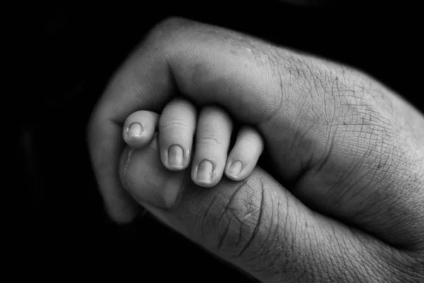 孩子的小手和父母的小手的特写 刚出生的婴儿紧紧抓住父母的大拇指 黑色背景上的黑白摄影 — 图库照片