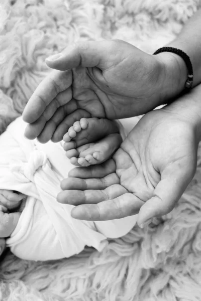 Újszülött Lába Szülők Tenyerén Apa Anya Tenyere Újszülött Lábát Tartja — Stock Fotó