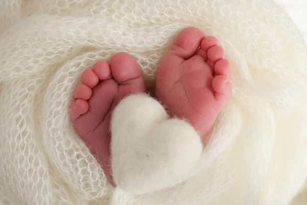 Маленька Нога Новонародженої Дитини Які Ноги Новонародженого Білій Вовняній Ковдрі — стокове фото